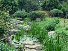 -深巷家味馆.湖北头牌红烧鱼头拌饭(黄陂店)