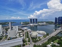 -新加坡瑞士史丹福酒店