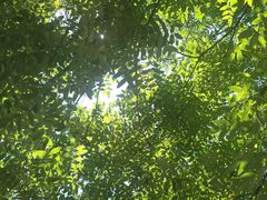 -洛阳花果山景区