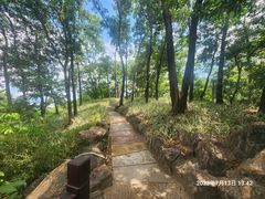 -深圳国际园林花卉博览园