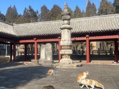 -千佛山风景名胜区
