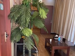 -筋骨堂热敷推拿按摩(枫林绿洲店)