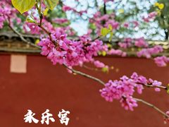 -永乐宫