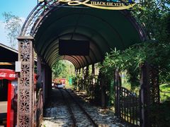 -合肥滨湖国家森林公园