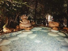 -天目湖涵田半山温泉