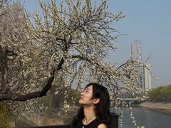 -桃花堤公园
