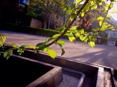 iphone_upload_pic-南馆公园