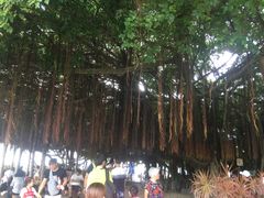 -胡里山炮台