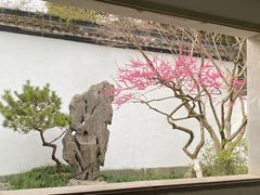 -杭州植物园