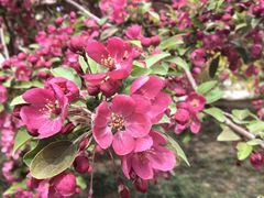 -北京动物园-畅观楼