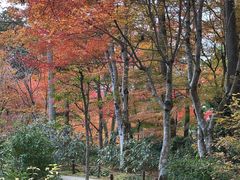 -三千院