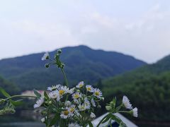 -将军关探险漂流