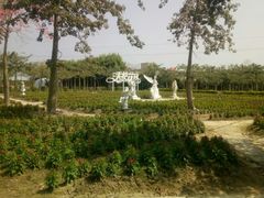 -广东花都香草世界旅游度假区