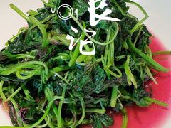 红苋菜-悦融琥珀·京鲁菜·海味珍品(西单店)
