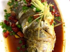 特色大黄鱼-阿杰臻选海鲜饭店(普陀山店)