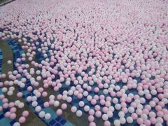 -碧桂园凤凰城酒店(南京店)