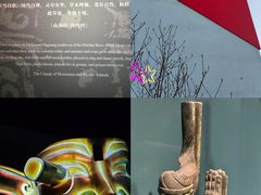 -遇见博物馆(遇见海洋沉浸式奇幻光影展)