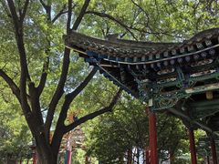 -白塔山公园