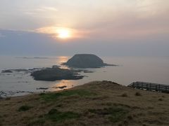 -企鹅岛