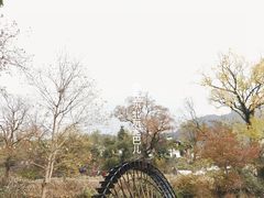 -塔川景区
