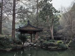 -杭州植物园
