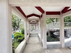 -南京古林公园