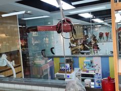 -贝贝宠物乐园(常青花园店)