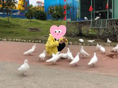 -华夏文旅海洋公园