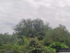 -芦仙山景区-飞越丛林探险乐园