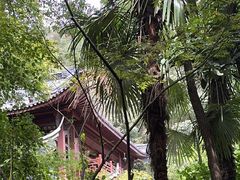 -十八棵（老龙井）御茶园(老龙井店)