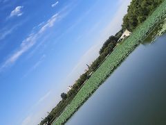 -大兴滨河森林公园