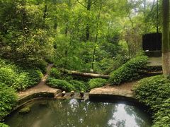 -岳麓山风景名胜区