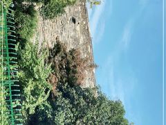 -南京城墙景区