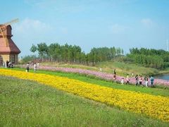 -杭州湾海上花田景区