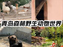 -青岛方特梦幻王国