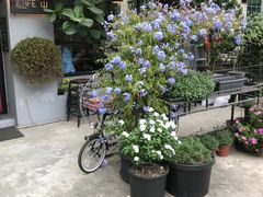 -转山咖啡(松柏社区店)