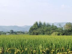 -良渚古城遗址公园