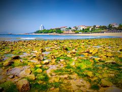 -青岛第二海水浴场