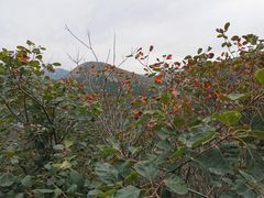 -石门坊