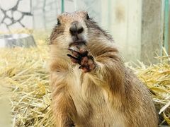 -海合安武汉极地海洋公园