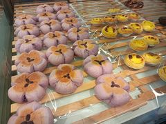 -奈雪的茶(大梅沙8号仓店)