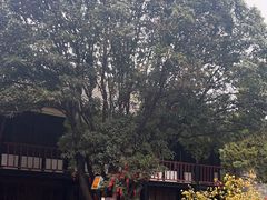 -花戏楼