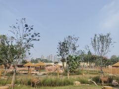 -武汉动物园