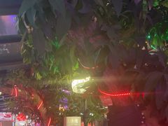 -海岛八号龙虾烧烤田鸡(蓝天路总店)