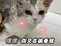 -悠尼宠物·独立低压伊珊娜洗护·美容·寄养(兰谷路店)