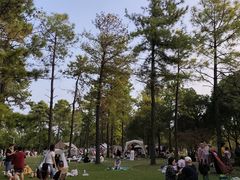 -美兰湖景区
