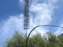 -长春公园(普阳街道)