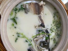 -天乐农家鱼头王(天目湖店)