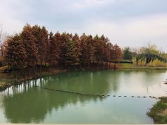 -尚贤河湿地