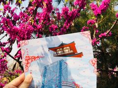 -西安青龙寺遗址景区